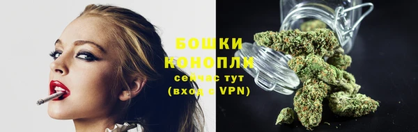молекула духа Козельск