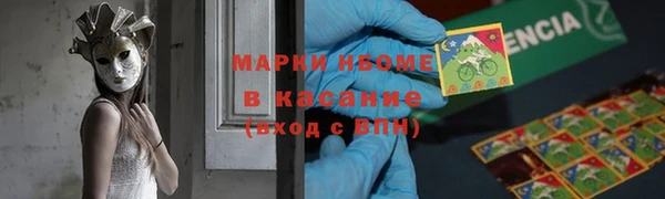 молекула духа Козельск