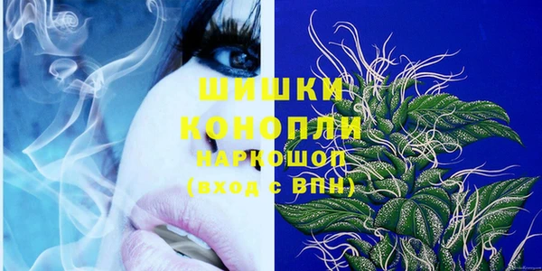 молекула духа Козельск