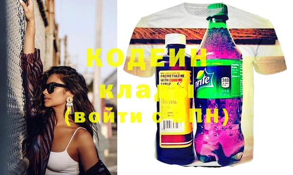 молекула духа Козельск
