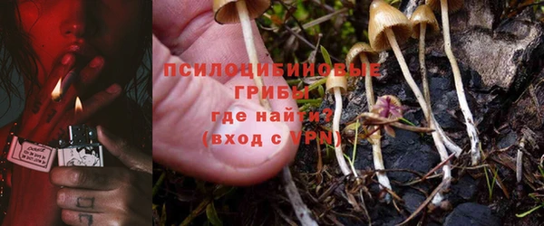 дмт Кинешма