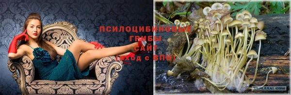 кокаин Козловка