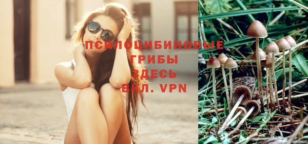 хмурый Киреевск