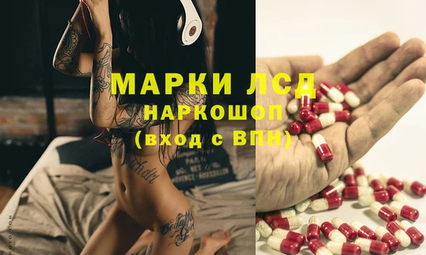 молекула духа Козельск