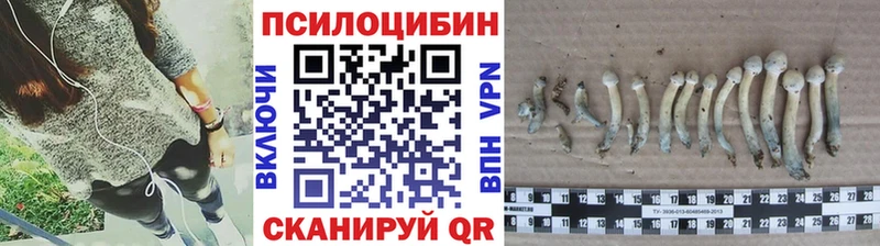 Галлюциногенные грибы прущие грибы  где можно купить   Чусовой 